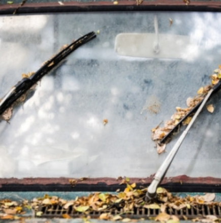 Борите се с замъглено предно стъкло всяка сутрин? Ето как да отстраните запотеното стъкло по-бързо от всякога!