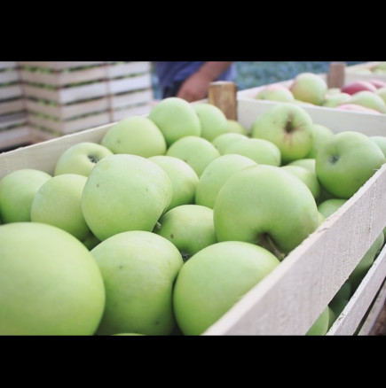 Ябълките не са за всеки: Ако принадлежите към ТАЗИ ГРУПА, това е плод, който крие СКРИТА ОПАСНОСТ за стомаха ви