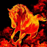 Животното-покровител на 2026 г.: какво е важно да знаем за Коня