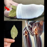 Сложете 1 дафинов лист в чорапа си и вече няма да да харчите пари в аптеката