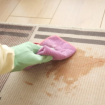 Премахва всички петна от килима: С тази „вълшебна“ смес дори няма да си помислите за основно пране