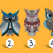 Готови ли сте да научите истината за себе си? Изберете си бухал и тестът ще разкрие кой сте