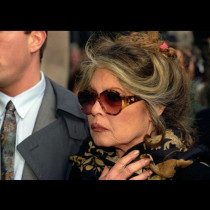 Кой е синът на Бриджит Бардо? Тя го нарече тумор, който я разяжда, 22 години по-късно той ѝ отмъсти хладнокръвно.