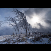 Ледена вихрушка и ураганен вятър сковават страната - ето къде ще е най-страшно у нас, обявени са жълти кодове: