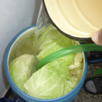 Не го изхвърляйте: Киселото зеле може да издържи до лятото, просто добавете това едно нещо