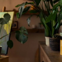 Често боледувате: Обърнете внимание на това място в къщата, мръсотията в тази зона разрушава здравето, любовта и щастието