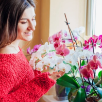 Открих как да накарам орхидеите си да цъфтят постоянно: Те просто процъфтяват от подхранването, което си приготвям сама