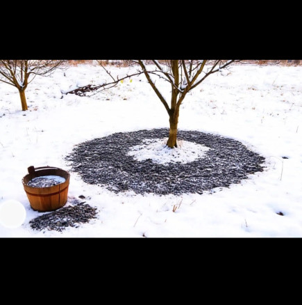 Не забравяйте да разпръсквате ДЪРВЕСНА ПЕПЕЛ в овощната градина през зимата: Ето защо!