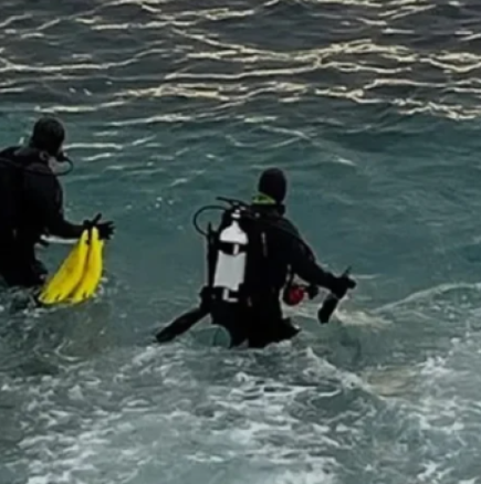 Намериха тялото на изчезналата спортистка, разкъсано от акула