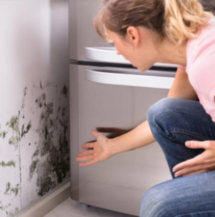 Германците имат чудо срещу мухъл: Изяжда влагата за 3 минути и не струва и лев