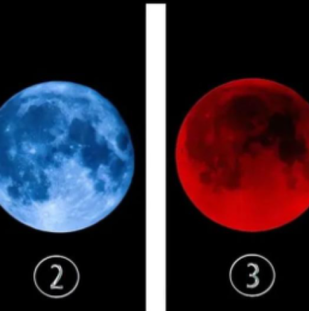 Тестът разкрива дали разчитате на съдбата: Изберете Луната и разберете какво влияе на житейските ви решения