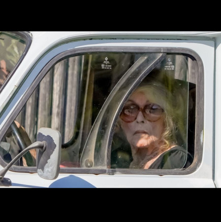 Откриха от какво е починала Бриджит Бардо: „Ужасна смърт“, казва всеки, който прочете симптомите на това заболяване