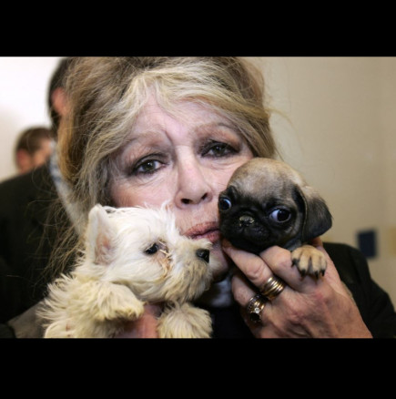 Скандалите не спират дори след смъртта: Роднините отказаха да изпълнят последното желание на Бриджит Бардо