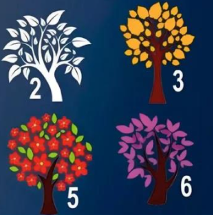 Какво впечатление правите на хората? Тестът разкрива