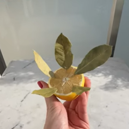 Славина заби дафинов лист в лимон: Резултатът беше невероятен, сега тя използва този трик постоянно!