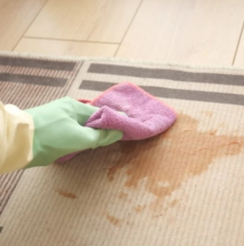 Премахва всички петна от килима: С тази „вълшебна“ смес дори няма да си помислите за основно пране