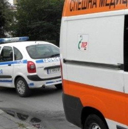 Трагичен инцидент на Витоша – майка на две деца загина, след като дърво падна върху автомобила им