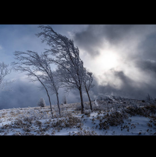 Ледена вихрушка и ураганен вятър сковават страната - ето къде ще е най-страшно у нас, обявени са жълти кодове: