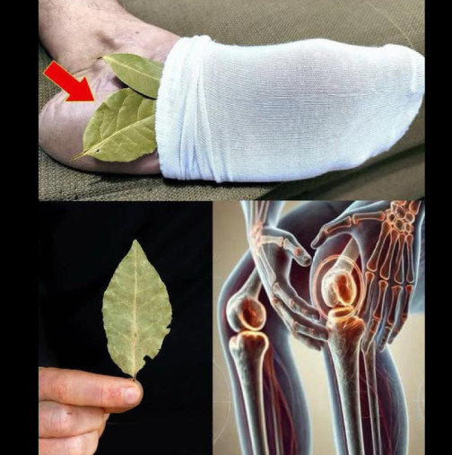 Сложете 1 дафинов лист в чорапа си и вече няма да да харчите пари в аптеката
