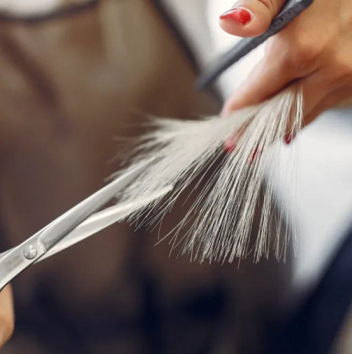 Защо не бива да оставяте подстриганите си кичури на фризьор