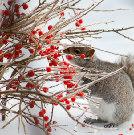 Голям хороскоп за февруари: Овен Любовта носи нов импулс