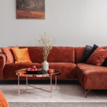 Изхвърлете това от къщата веднага! Носи нещастие на всяко семейство, носи кавги и бедност