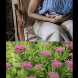 Пих 3 антибиотика наведнъж, но не помогна! Ето какво заличи моя Helicobacter и излекува гастрита ми (опит от читатели)