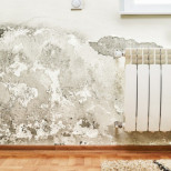 Той откри трик за почистване на мухъл по стените: 2 лъжици от това са достатъчни, петната изчезват за 10 минути!