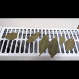 Баба ми слага дафинов лист на радиатора в спалнята: Това ще премахне сериозен ПРОБЛЕМ във вашия дом!