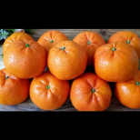 Помага на бъбреците, черния дроб и червата! Препоръчвам на всеки, който се чувства зле, болен е и му липсва енергия