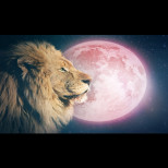 Пълнолунието в Лъв запалва страстта и отваря вратата към щастието: Тези знаци ще преживеят бурни промени в любовта!