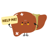 Черният дроб не спори, не се оплаква, страда мълчаливо, а последствията са навсякъде-Ето как казва "Обърни ми внимание!"