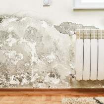 Той откри трик за почистване на мухъл по стените: 2 лъжици от това са достатъчни, петната изчезват за 10 минути!