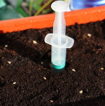 ПЕТ груби грешки при сеитба на семена, които съсипват разсада ви още в началото