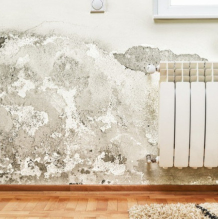 Той откри трик за почистване на мухъл по стените: 2 лъжици от това са достатъчни, петната изчезват за 10 минути!