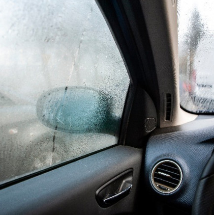 Има едно нещо, което не бихте сложили в колата си дори в лудостта си, а то абсорбира цялата влага