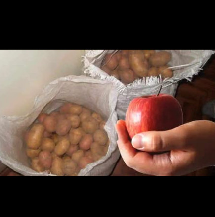 Няма да ви го кажат в магазина: С този ТРИК картофите не покълват през зимата, бананите не покафеняват, а морковите траят цяла година!