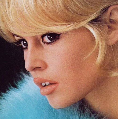 Брижит Бардо беше погребана по необичаен начин-Ето какво е имала на себе си