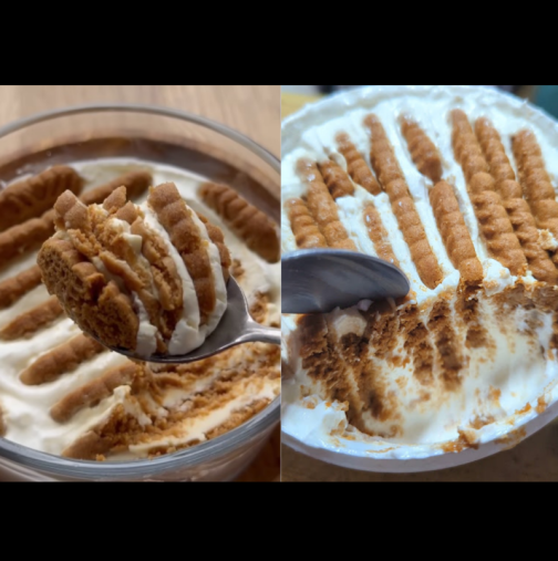 Японският чийзкейк от САМО 2 съставки е тотален хит! Само набождаш бисквитите в крема и готово - кремообразен и сочен: