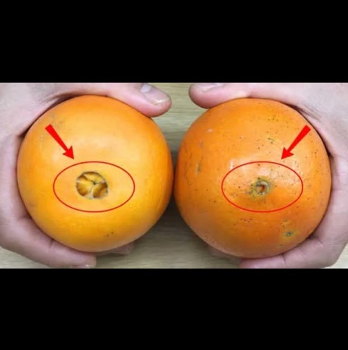 Как да изберем НАЙ-ДОБРИТЕ портокали, които са сладки и без семки? Научете един прост трик и никога няма да сбъркате!