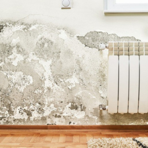 Той откри трик за почистване на мухъл по стените: 2 лъжици от това са достатъчни, петната изчезват за 10 минути!