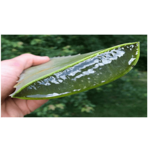 Как да изхвърлите 9-те килограма отпадъци, натрупани в дебелото черво, и да го оставите напълно празно: