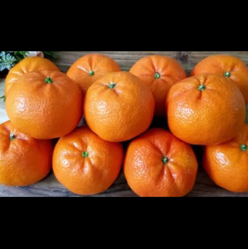 Помага на бъбреците, черния дроб и червата! Препоръчвам на всеки, който се чувства зле, болен е и му липсва енергия