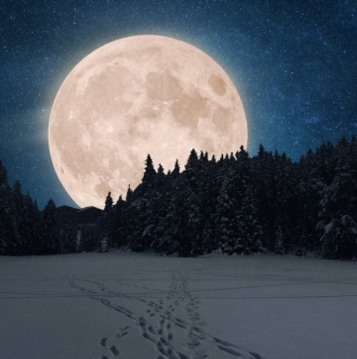 Пълнолуние в Лъв: Какво предвещава Снежната Луна на 2 февруари 2026 г.