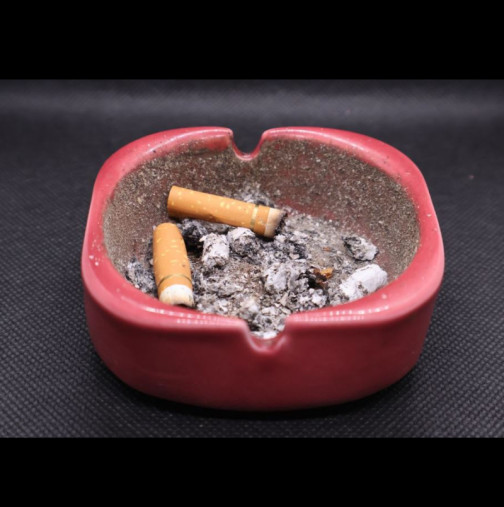 Миризмата на цигари изчезва завинаги: Един забравен трик почиства апартамента по-бързо от проветряването