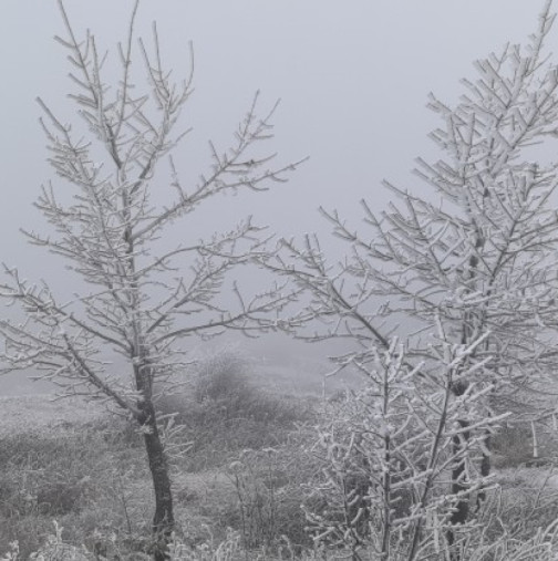 Нов обрат във времето днес! Сняг и студ за много области, жълт код за силен вятър и оранжев за дъжд за една област 