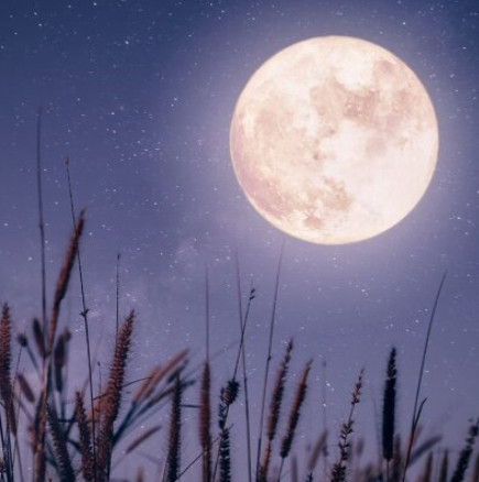 ПЕТ знака, за които пълнолунието на 3 март 2026 г. ще бъде отправна точка за нов живот