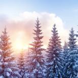 Дневен хороскоп за понеделник 16 февруари 2026 г.