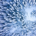 Хороскоп за сряда, 18 февруари: какво очаква всяка зодия