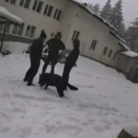 Ексклузивно видео от сбогуването на тримата разстреляни при хижа "Петрохан"